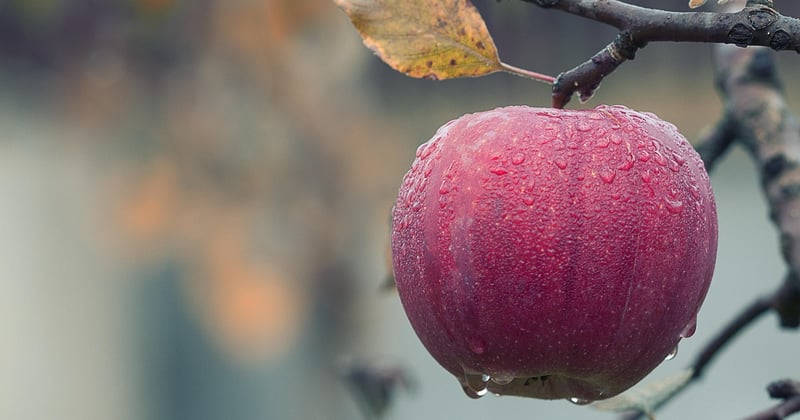 Détartrer une pomme de douche et retrouver une bonne pression facilement