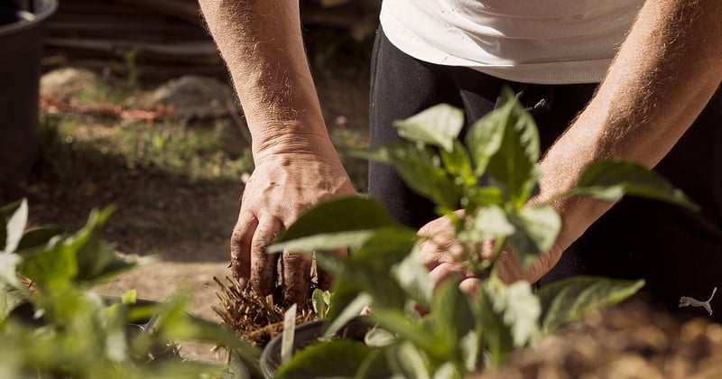 Mise à la terre d'une maison : pourquoi et comment la vérifier